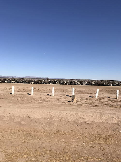 Salton Sea Area - 2015-2020 Photos (newer photo)